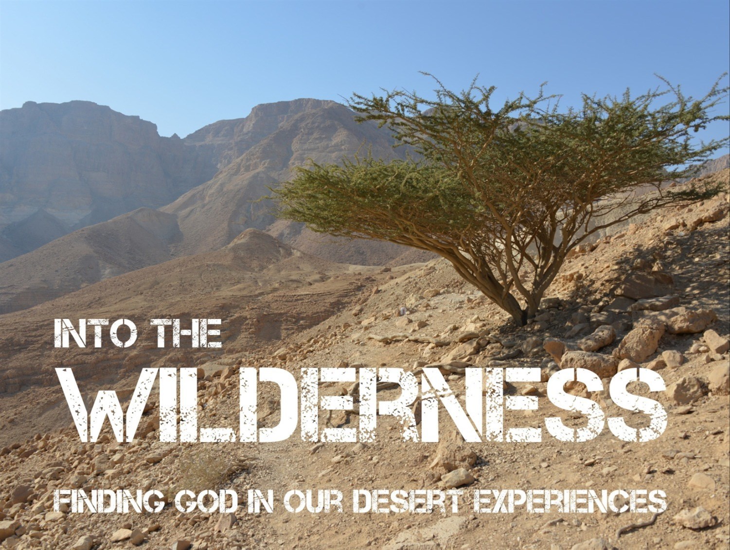 Into The Wilderness poster